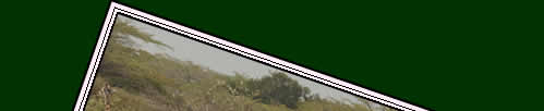 Train journeys of a lifetime. Click here.